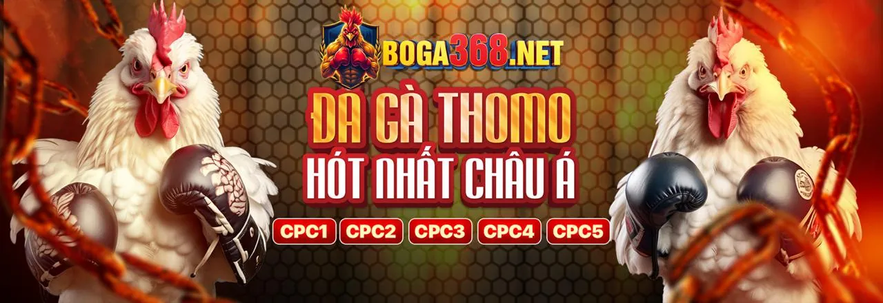 Tổng quan các trận đấu đá gà trên ax88 apk